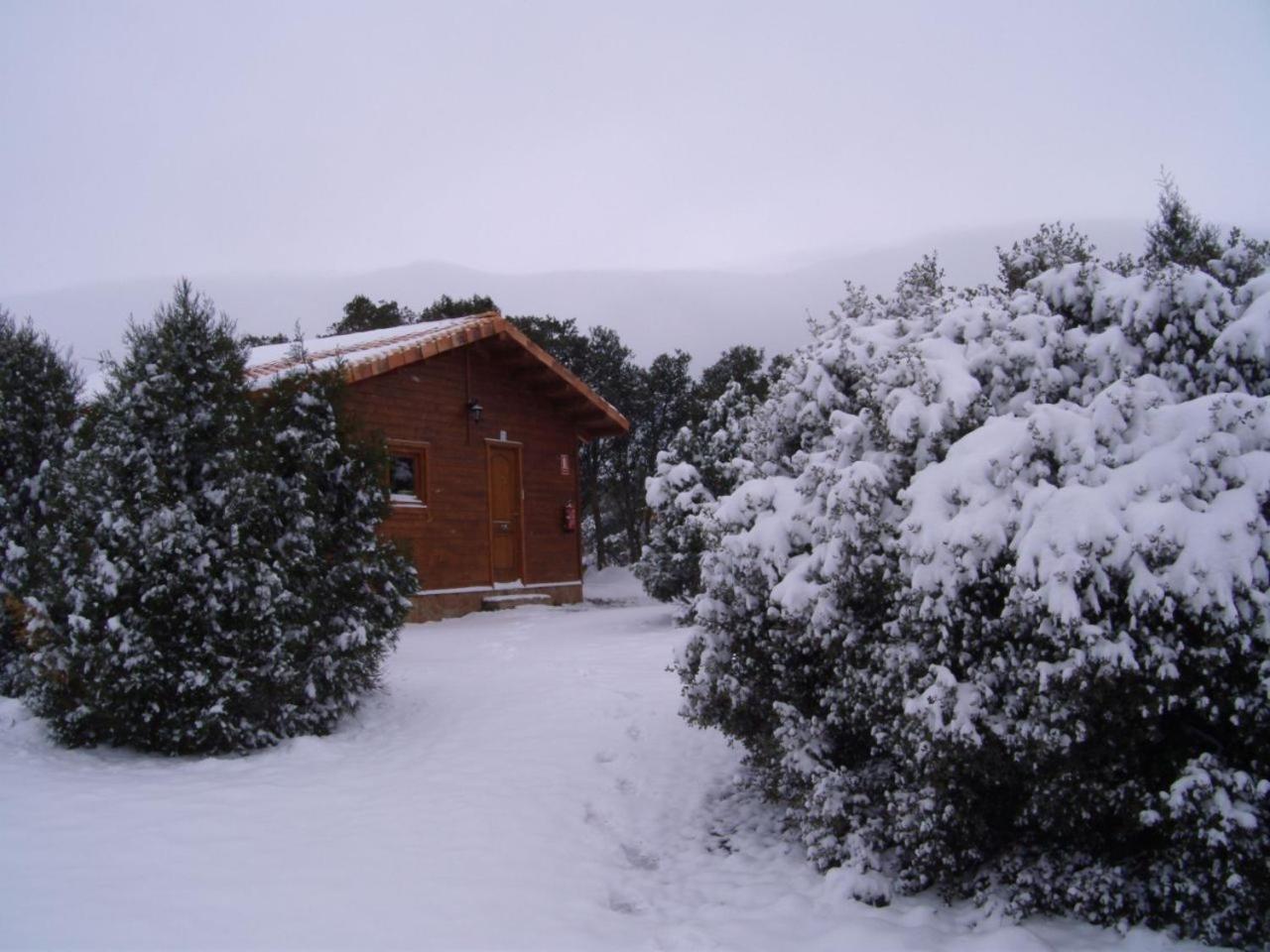 Camping Casa Fausto Cerca De Dinopolis Formiche Alto Exterior foto
